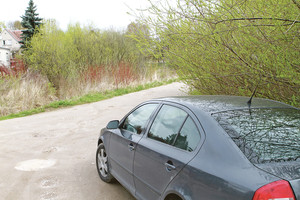 Kauniečiai su netvarka dažnai kovoja tik rašikliais