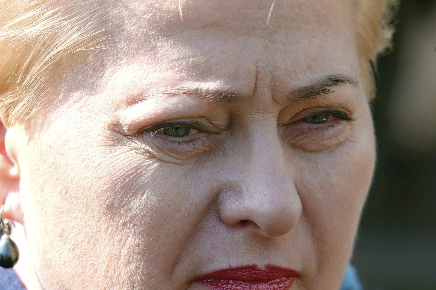 D.Grybauskaitės įsigytas sklypas patenka į Vilniaus rajono Pašilių žvyro telkinio parengtinai išžvalgytų išteklių plotą, esantį tiesiogiai prie detaliai išžvalgytų išteklių ploto.<br>R.Danisevičiaus nuotr.