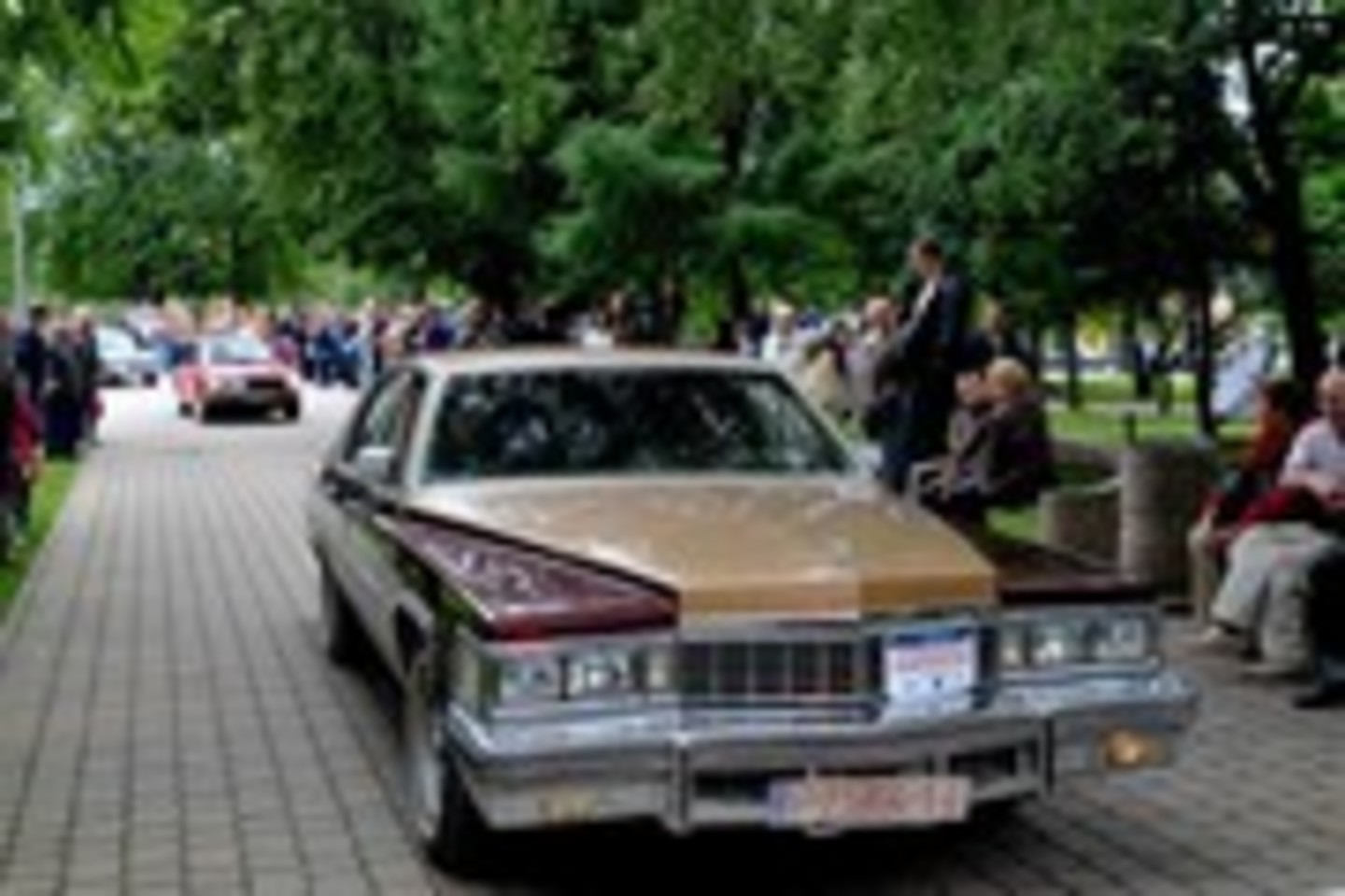 Pirmąjį vasaros savaitgalį Dzūkijoje bus gausi istorinių automobilių.<br>Organizatorių nuotr.