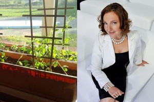 Astai Baukutei būtų gėda pačiai neužsiauginti daržovių