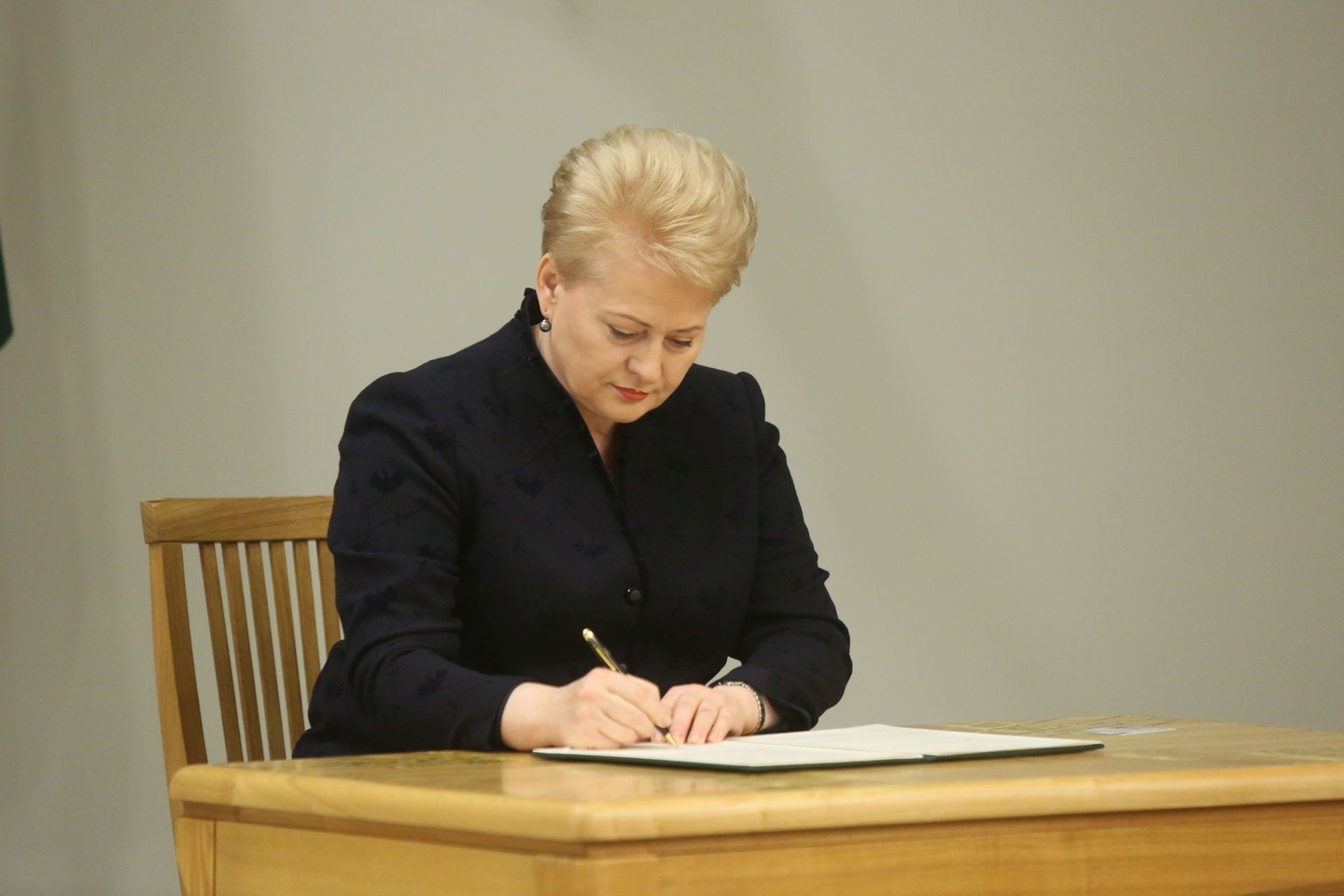 D.Grybauskaitė remdamasi slaptomis pažymomis užkirto kelią V.Gedvilui patekti į švietimo ir mokslo ministro postą.<br>R.Danisevičiaus nuotr.