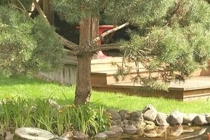 Laima Paksienė atvėrė savo paslaptingo sodo vartelius