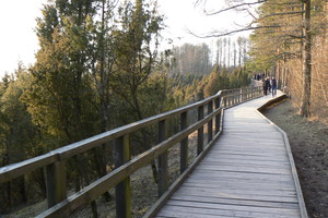 Pakaunės krašto grožį atskleidžia du nuostabūs pažintiniai takai