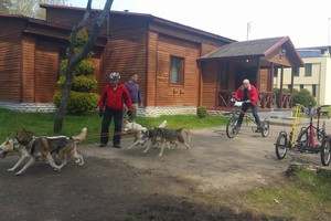 Juozas Gaižauskas dalyvavo šunų kinkinių varžybose