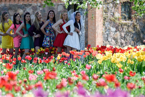 Tulpių žydėjimo šventė Burbiškio dvare truks dvi dienas