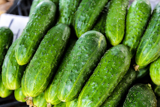 Keliasdešimt vaikų užauginusi moteris: agurkų kaina – nežmoniška