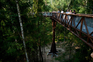Sukūrė užburiantį filmuką apie Aukštaitiją: verta pažiūrėti
