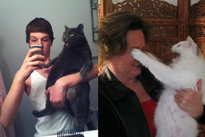 Juokas iki skausmo: bandė fotografuoti kates, bet štai kas išėjo