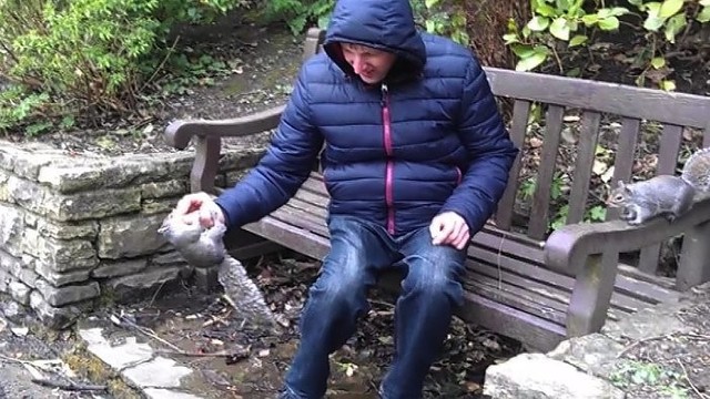Lietuvį Anglijoje nustebino nieko nebijančios voverės akrobatės