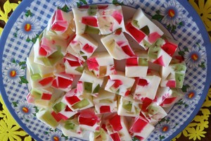 Gaivus želė desertas „Mozaika“, kuriuo visi liko sužavėti