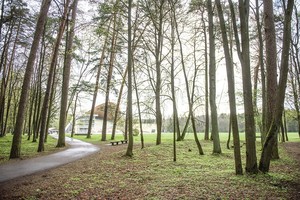 Vingio parkas bus išvaduotas iš šabakštynų
