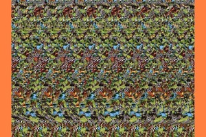 Ar įžiūrite dramblį? Geriausi būdai pamatyti stereogramas