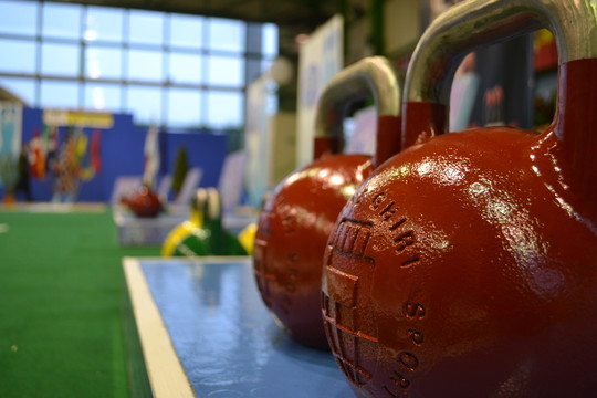 Europos svarsčių kilnojimo čempionate – 22 lietuvių medalius