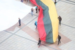 Seimui pateiks pataisą, kuri lengvins referendumą dėl pilietybės