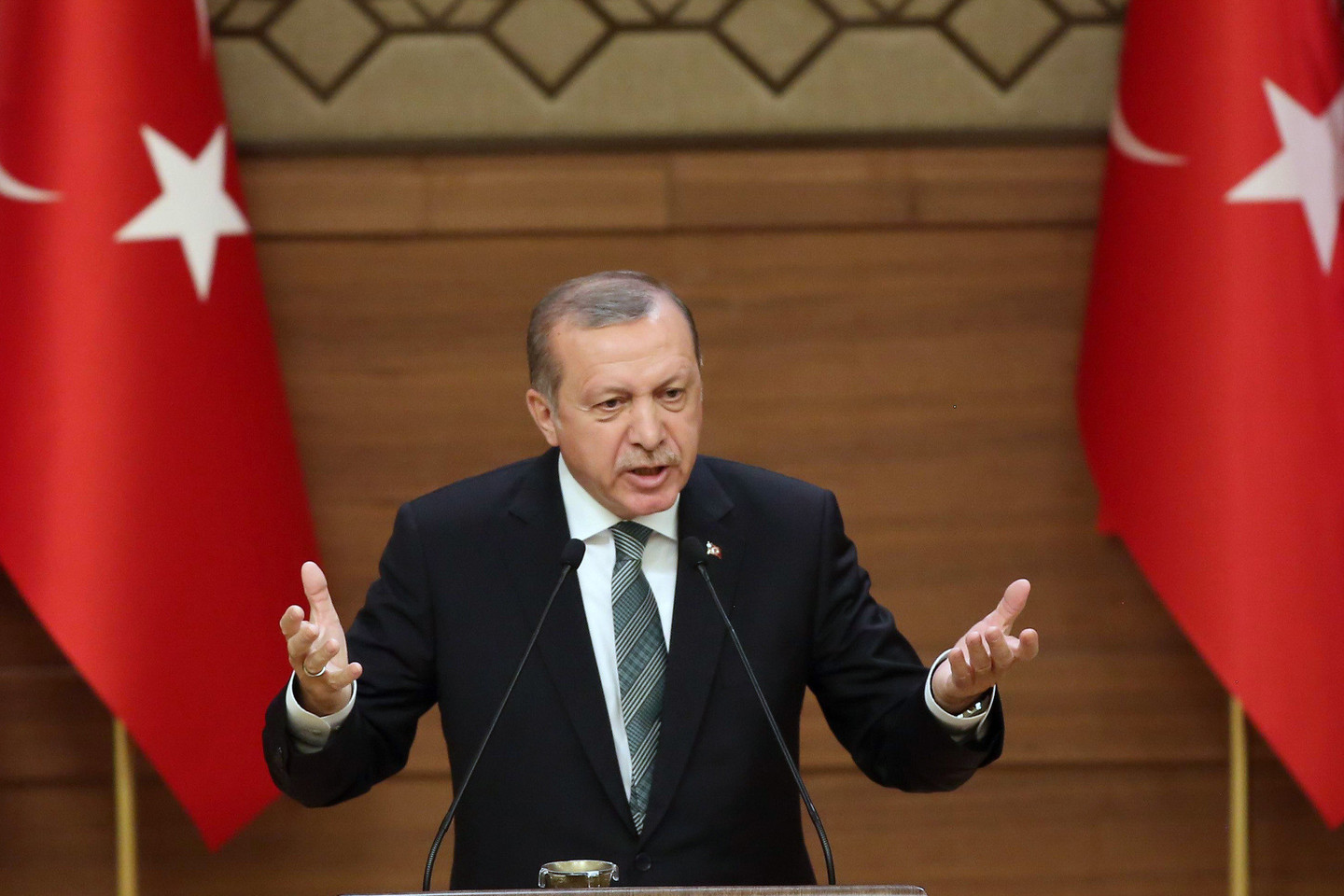 Turkijos prezidentas R.T.Erdoganas Vakarų šalis kritikavo dėl to, kad jos skiria per daug dėmesio gėjų ir gyvūnų teisėms, o ignoruoja pabėgėlius iš Sirijos.