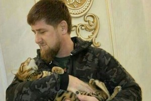 Ramzanas Kadyrovas prašo pagalbos: dingo jo mylimas katinas