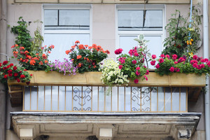 Žinovas: „Už kaimyno balkono remontą gali tekti mokėti ir jums“