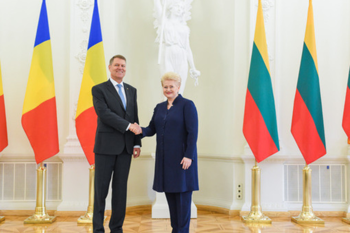 K.Iohanissas susitiko su D.Grybauskaite.