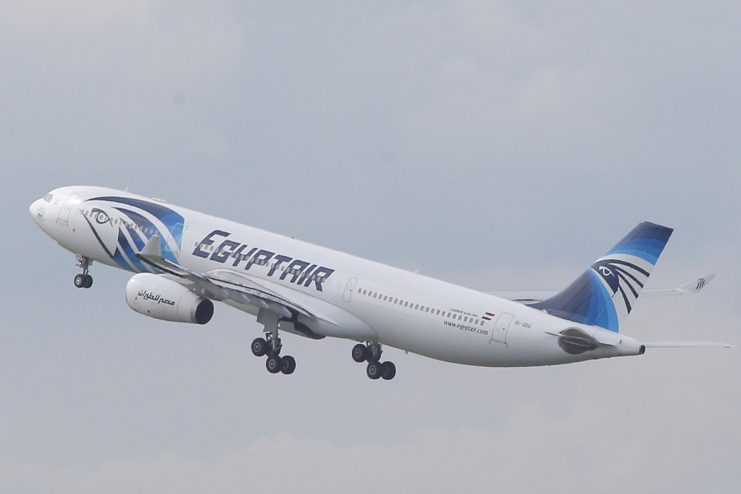 Į Kairą dingusiu „Egypt Air“ lėktuvu darbo reikalais skristi turėjęs I.Phillipsas kelionės išvengė, kai darbo vadovas jam paskambino pranešti apie pasikeitusius planus.