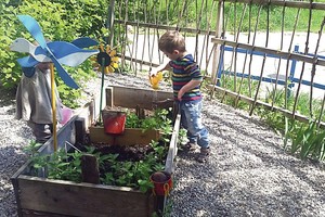 Saulius Paukštys daržus sukasė šalia judrių gatvių