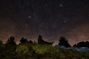 Praleidę gailėsis: danguje – ryškus kaip reta kaimynas