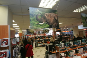 Kelią į Afriką atradę lietuviai: galimybės nustelbia riziką