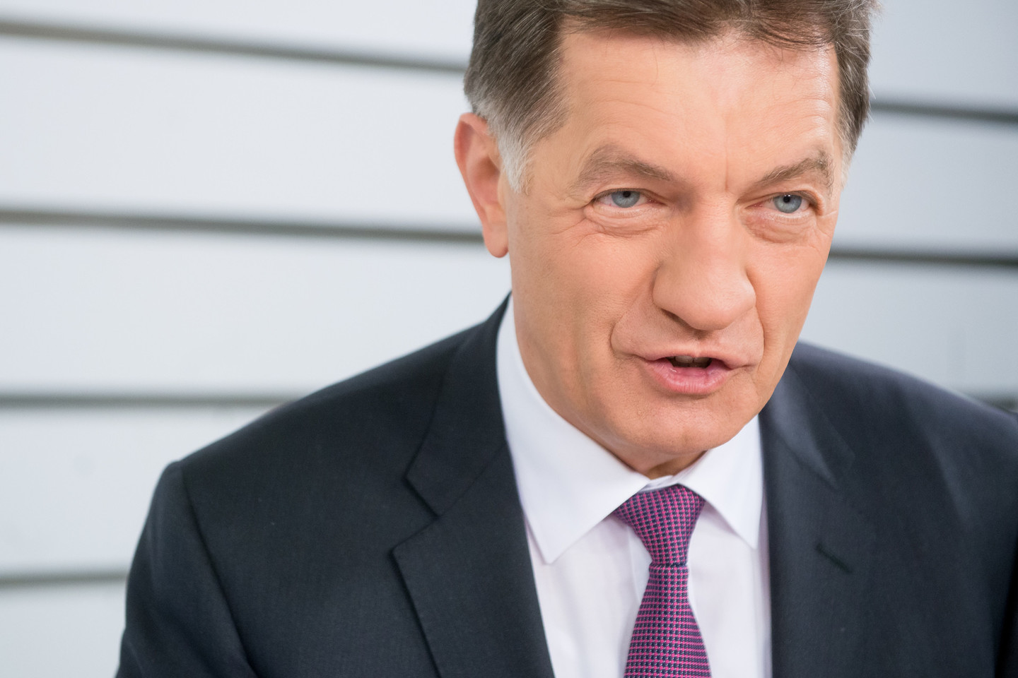 A. Butkevičius pabrėžė, kad Ukrainai ir Gruzijai Europos Sąjunga kuo greičiau turi suteikti bevizį režimą.