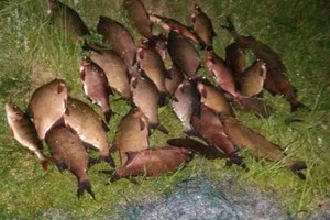 Brakonieriai prisigaudė: tūkstantinė bauda paplonins piniginę