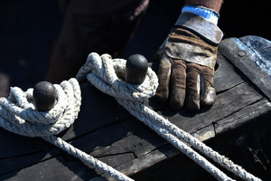 Medinis Nidos simbolis, kurio pasaulis gali tik pavydėti