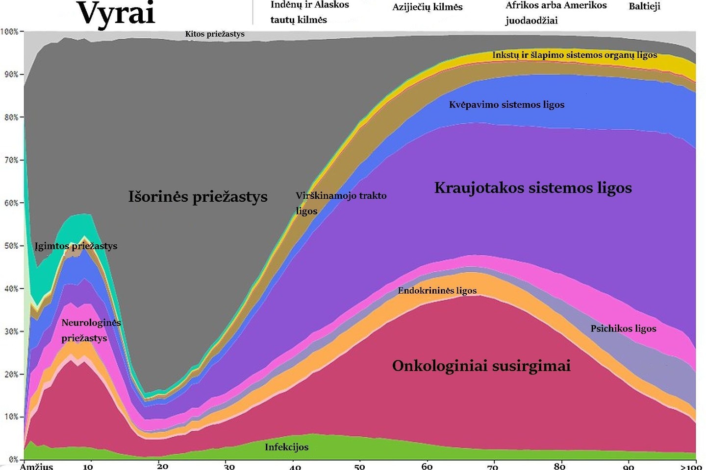 Infografikas, išverstas į lietuvių kalbą.