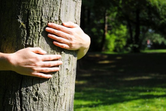 Apkabinimų diena: ar mes ją užauginsim?