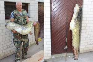 Nemune gaudė lydeką, o užkibo 38 kilogramų milžinas