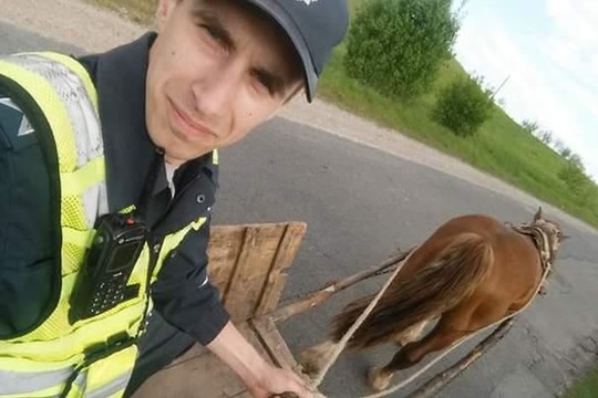 Nubaudė girtą vadeliotoją, bet teko ir parvairuoti vežimą