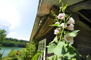 Išsiuntė vaikiną į šventę sodyboje – neįtarė, kiek tai kainuos