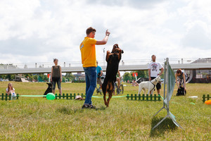 Nemokamos šunų dresūros pamokos subūrė gyvūnų mylėtojus