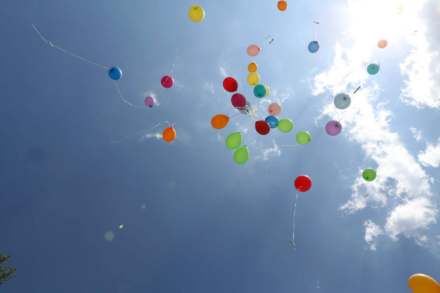 Vaikų gynimo dieną į dangų kilo balionai su vaikų svajonėmis.<br>M.Patašiaus nuotr.