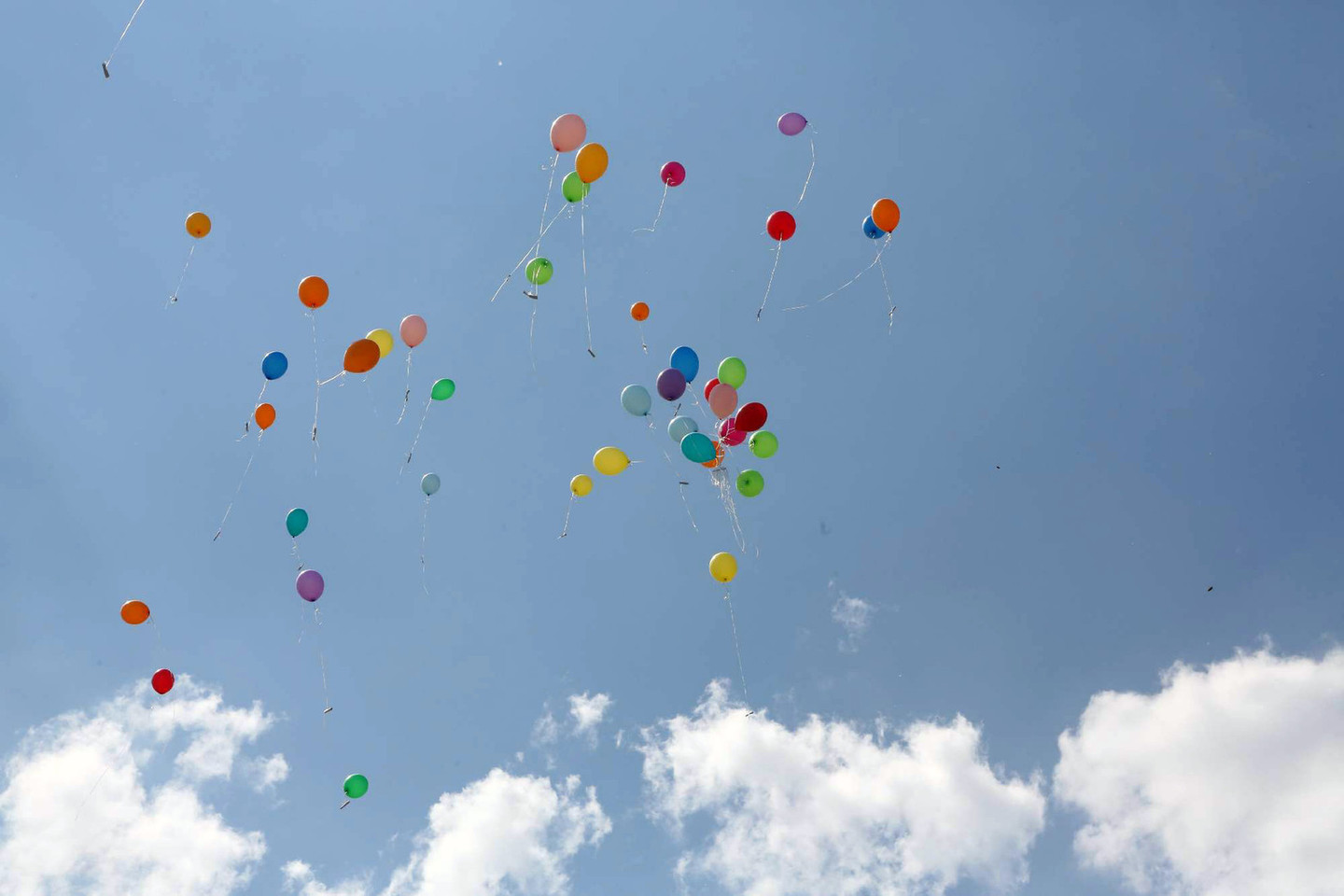 Vaikų gynimo dieną į dangų kilo balionai su vaikų svajonėmis.<br>M.Patašiaus nuotr.