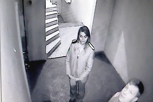 Pareigūnų uolumas: braižosi aplink duris laukdami, kol sulos šuo