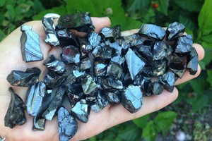 (Ne)stebuklingas vaistas, išbandytas net Rusijos imperijos caro