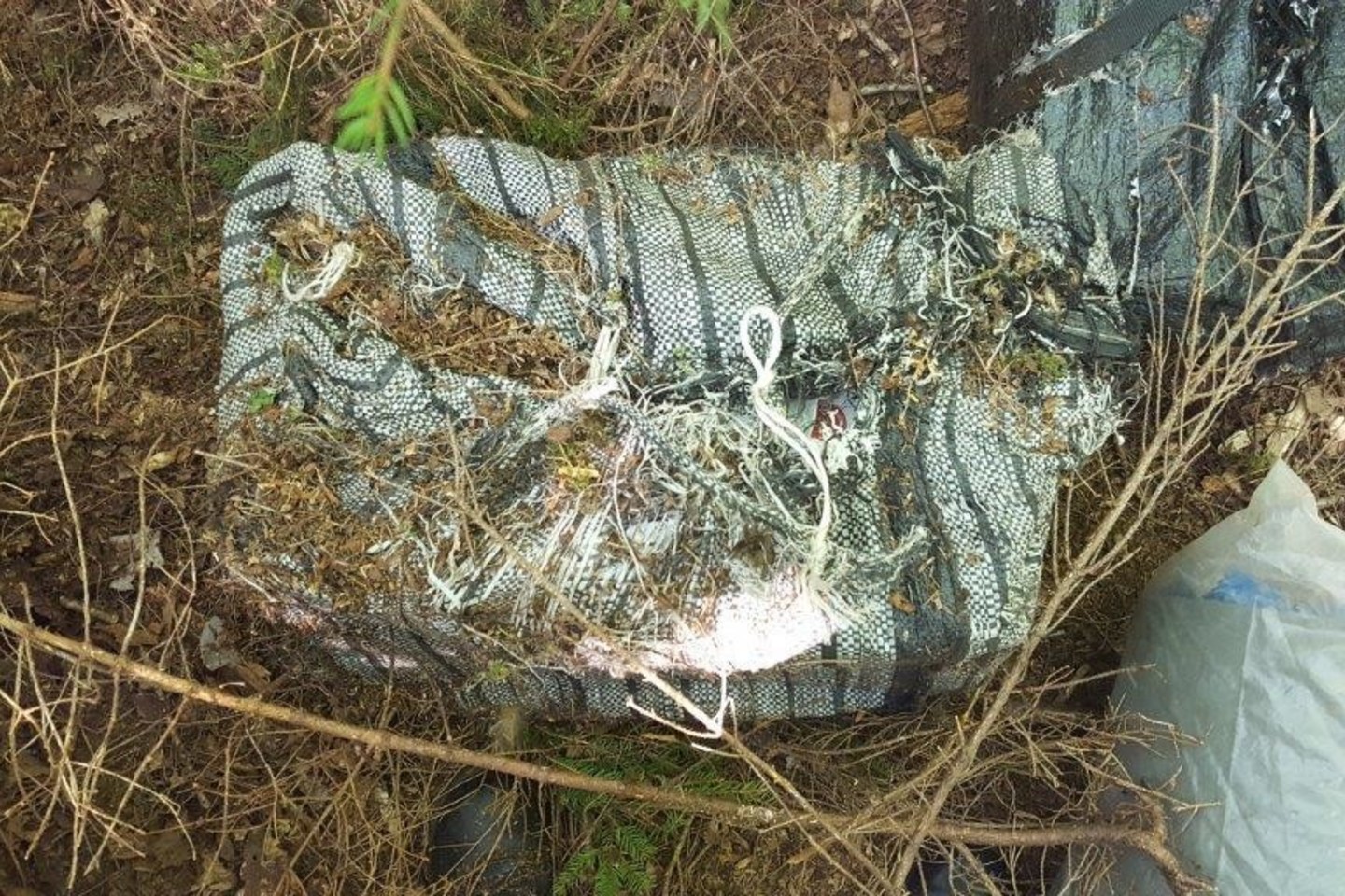 Kontrabandininkas į Lietuvą brido Nočios upeliu.