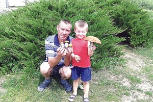 Grybų sezonas prasidėjo: dzūkai jau rauna raudonviršius