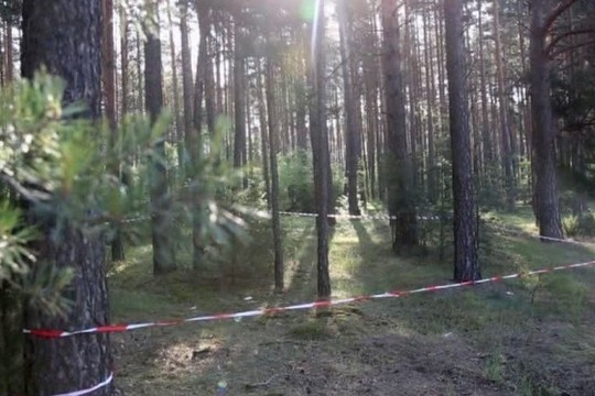 Varėnos miške rastas 17-metės kūnas – išrengtas nuogai
