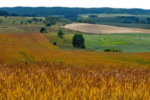 Į Lietuvą sugrįžusius emigrantus traukia kaimas