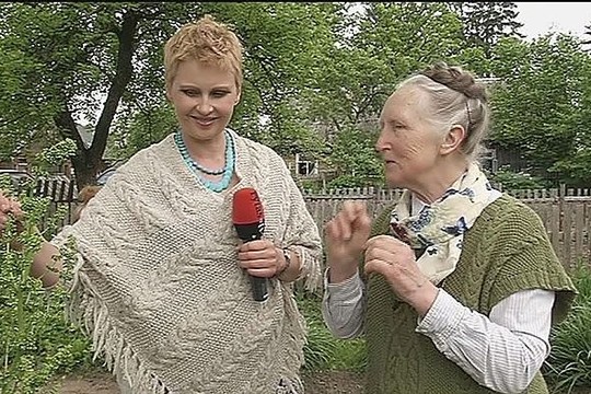 Stebuklingas dešimtukas: kokias žoles auginti sode?