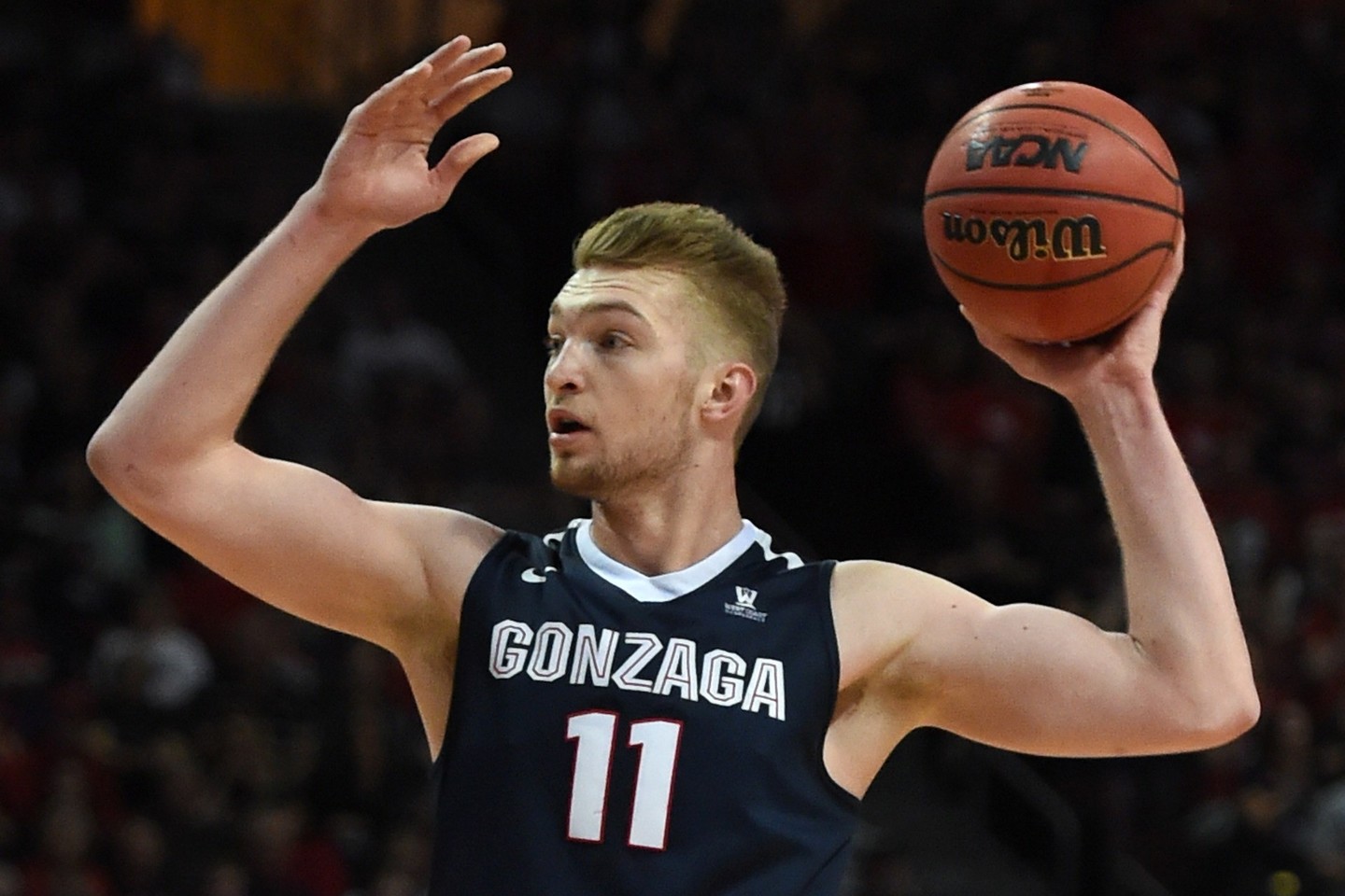 Domantas Sabonis