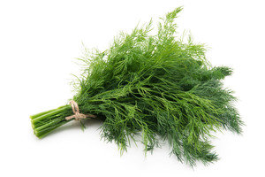 Paprastas būdas, kaip šviežius krapus išsaugoti net savaitę