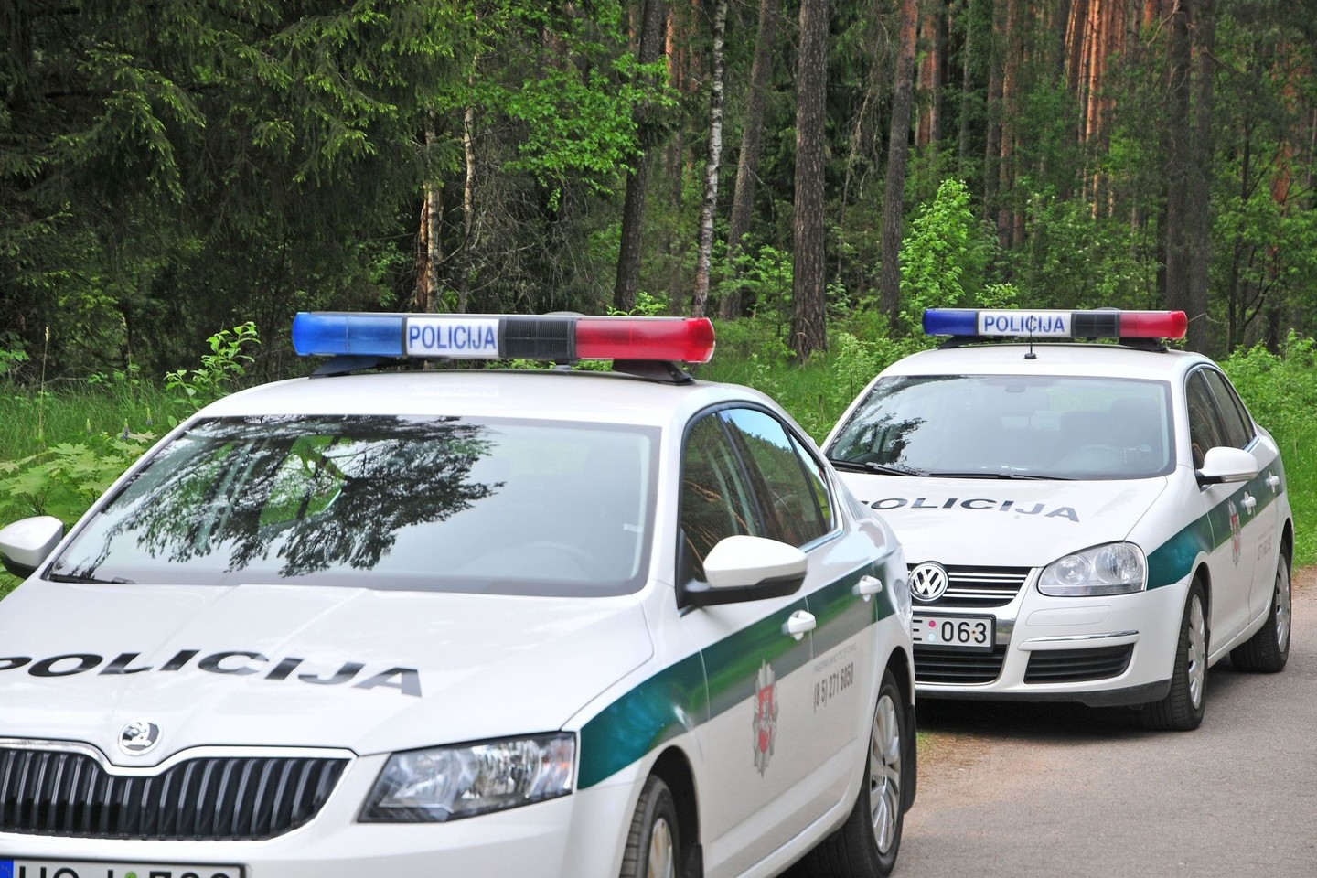 Policija tiria nusikaltimo aplinkybes.<br>A.Vaitkevičiaus asociatyvi nuotr.