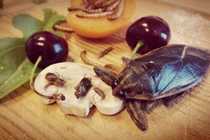 Skėrio paragavusi S. Daukšaitė-Petrulėnė jo skonį įsiminė ilgam