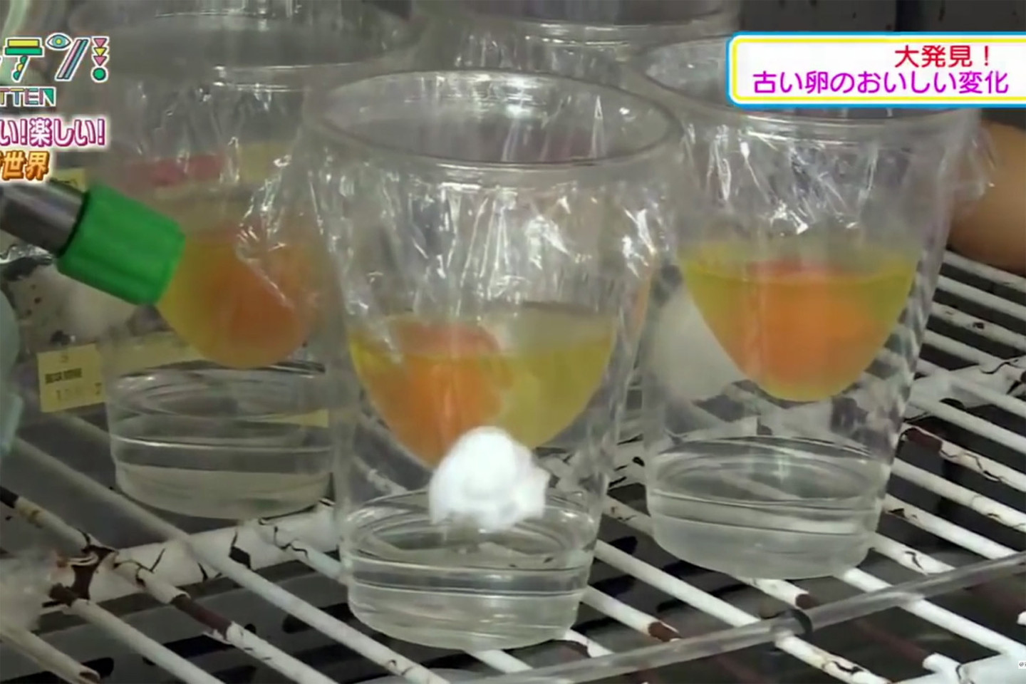 Į inkubatorių moksleiviai sudėjo keletą paruoštų kiaušinių. 90 proc. jų išgyveno 17 dienų.<br>„Youtube“ nuotr.