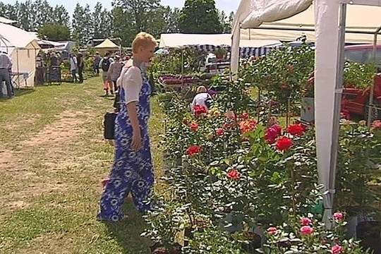 Kova su gėlių prekybininkų godumu: į Lietuvą ateis gėlių „Lidl“